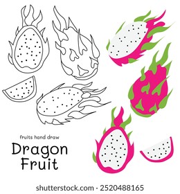Fruta del dragón o Pitaya doodle dibujado a mano contorno y colores para niños, paquete, etiquetas elemento de diseño. Ilustración vectorial