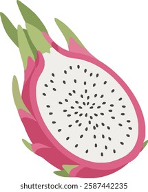 Dragon Fruit Pitaya – Exotic Tropical Superfood, Vibrant Pink Skin, White Flesh with Black Seeds, Healthy Nutrition and Fresh Organic Produce Illustration