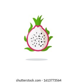 Dragon fruit pitaya isolated. Vector pithaya, exotic tropical dragonfruit.