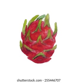 Dragon fruit. Pitaya on white background