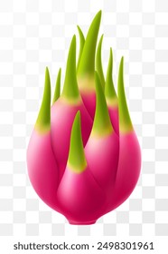 Dragon fruit. Pitaya or pitahaya isolated on transparent background. Exotic dragon fruit. Summer tropical vitamin fruits. Fresh ripe eating with white flesh. Realistic 3d vector illustration.