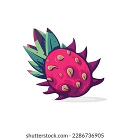 Dragon fruit. Pitaya, Pitahaya vector illustration