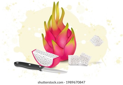Frutos del dragón, ilustración del vector del pitaya