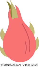 Dragon Fruit Product Vector Illustration