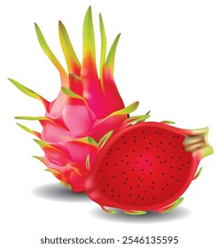 Dragon Fruit, uma fruta rica em vitamina C