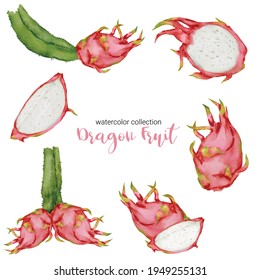 Dragon fruit,  ripe fruit in watercolor collection design with full of fruit and cut into pieces,  Drawing set  Flat Design Vector Illustration
