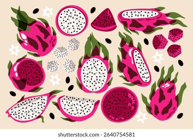 Dragon fruit set. Fresh pitaya whole and sliced, pink tropical exotic cactus fruits with green leaves, juicy dragon fruit cuts and pieces, summer healthy organic food. Vector collection.