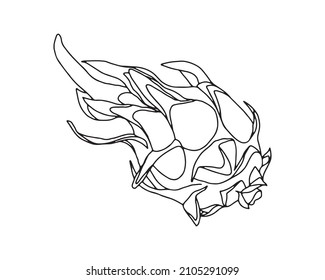 Dragon fruit. Set of vegetables and fruits, line drawing, black outline, contour.