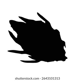  Dragon fruit silhouette vector isolated on a white background for design elements