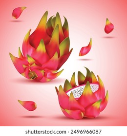 Dragon fruit, slice with background Vector.