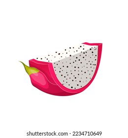 dragon fruit slice cartoon. pitaya, exotic, summer food, nature pink, vitamin vegetarian, tropical dragon fruit slice vector illustration