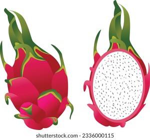 dragon fruit with sliced illustration