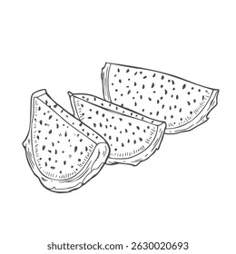 Dragon fruit slices in vector sketch. A piece of pitahaya
