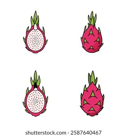 Dragon fruit. Sweet fruit for health. Gives freshness during summer for vegetarians Vector Illustration