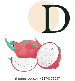 Dragon fruit as a symbol of letter D in a healthy alphabet. Vector colourful illustration isolated on white background.