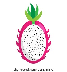 dragon fruit, tropical fruits. Vector illustration isolated on white background