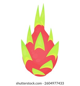 dragon fruit. tropical fruit. fruit theme. cute fruit. agriculture. vector illustration