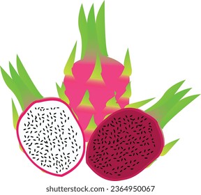 dragon fruit usually refers to fruit of the genus Stenocereus, while pitahaya or dragon fruit refers to fruit of the genus Selenicereus, both in the family Cactaceae.