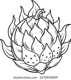 Dragon Fruit Vector for Coloring Pages for Kids