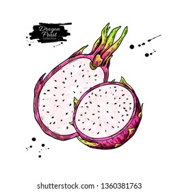 Watercolor Hand Drawn Dragon Fruit Pitahaya Stock Illustration 1111776125