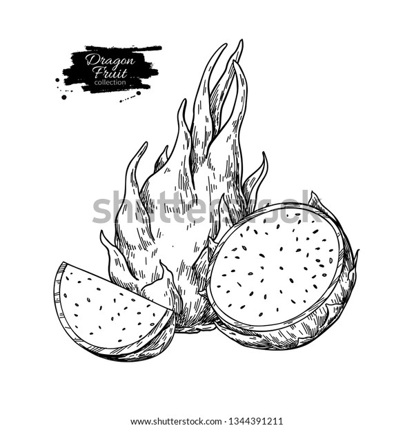 Featured image of post Dragon Fruit Drawing Black And White Dragon fruit or pitaya as they are sometimes known are my absolute favourite fruit next to honeydew