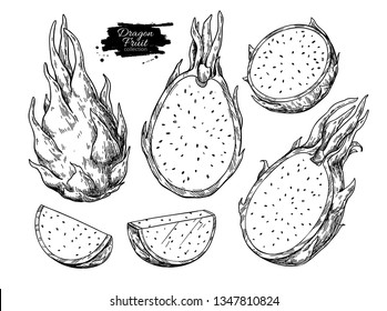 Dragon Fruit Vector Drawing Set. Hand Drawn Tropical Food Illustration. Engraved Summer Dragonfruit. Whole And Sliced Pitaya. Botanical Vintage Sketch For Label, Juice Packaging Design