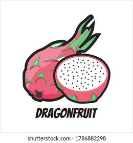 dragon fruit vector food cartoon