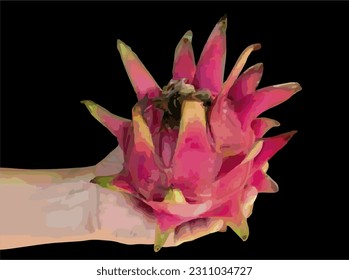 Drachenfrucht, Vektorgrafik einzeln auf schwarzem Hintergrund