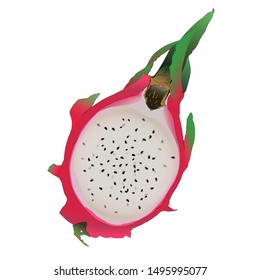 A dragon fruit vector icon isolated on white background. A pitaya logo. Pitahaya symbol.