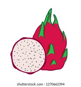 Dragon Fruit Vector Illustration