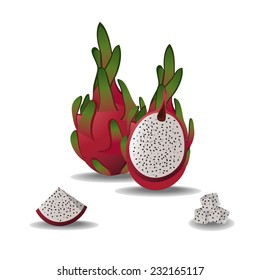 dragon fruit vector illustration