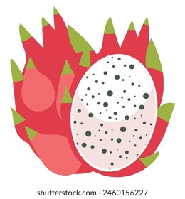 Ilustración vectorial de fruta de dragón, buah naga aislado sobre fondo blanco, pitaya Clipart, Imagen de pitahaya