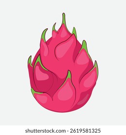 Dragon fruit vector illustration design