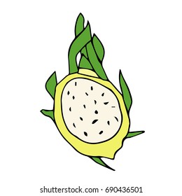 Dragon fruit vector illustration. Doodle style. Design icon, print, logo, poster, symbol, decor, textile, paper, card. 