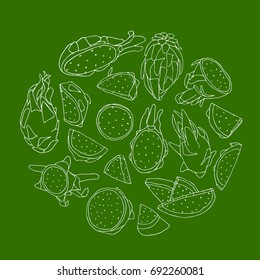 Dragon fruit vector illustration. Doodle style. Design icon, print, logo, poster, symbol, decor, textile, paper, card. 