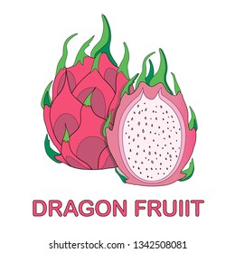 Dragon fruit, vector Illustration. Exotic fruit. Hand-drawn style - Vector