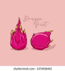 Dragon fruit, vector Illustration. Exotic fruit. Hand-drawn style