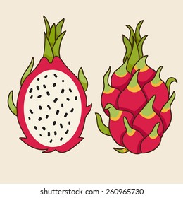 Dragon Fruit, Vector Illustration. Exotic Fruit. Hand-drawn Style