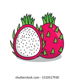 Dragon fruit vector illustration isolated on white background. Dragon fruit clip art