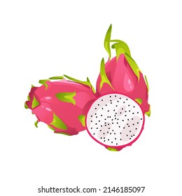 Dragon fruit vector illustration isolated on white background. Pitaya whole and cut realistic tropical food dessert. Vector ripe pitahaya, juicy tropical fruit, vegetarian food, grocery product.