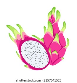 Fruta del dragón. Ilustración vectorial aislada en fondo blanco.