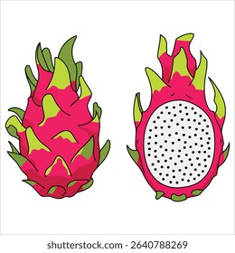 Dragon fruit vector illustration showing whole and sliced views. Tropical summer fruit icon in flat cartoon style, perfect for healthy lifestyle and exotic food themes.