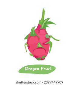 Dragon fruit vector illustration. Summer tropical fruit clip art. Flat vector in cartoon style isolated on white background. 