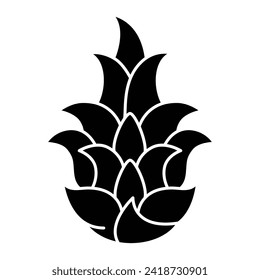 Dragon fruit vector on trendy design