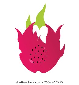 dragon fruit  vector on white background