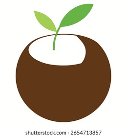 Vector de la fruta del dragón en el fondo blanco.