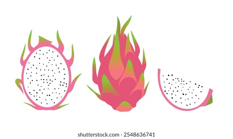 Dragon Fruit Vector Set - Whole and Sliced Tropical Fruit Illustration.