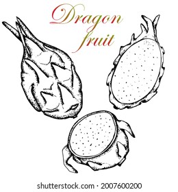 Dragon fruit. Vector stock illustration. Black and white sketch. Hand drawing.Isolated on white background.Pitahaya. Half and whole fruit. Vegetarian plant. For packaging and labeling exotic food.
