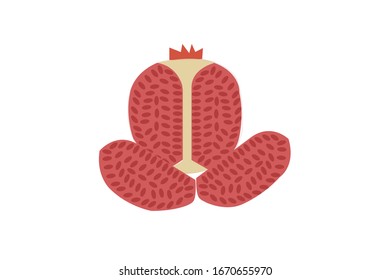 Dragon Fruit Vegetable Vector Kawaii