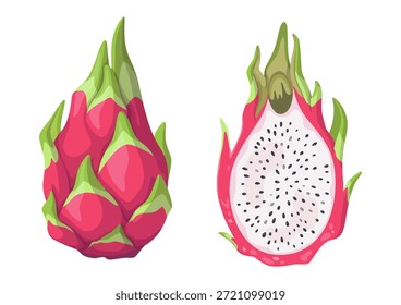 Dragon fruit, whole and half. Ripe pitaya or pitahaya cut in half. Tropical exotic fruit, vector illustration isolated on white background.